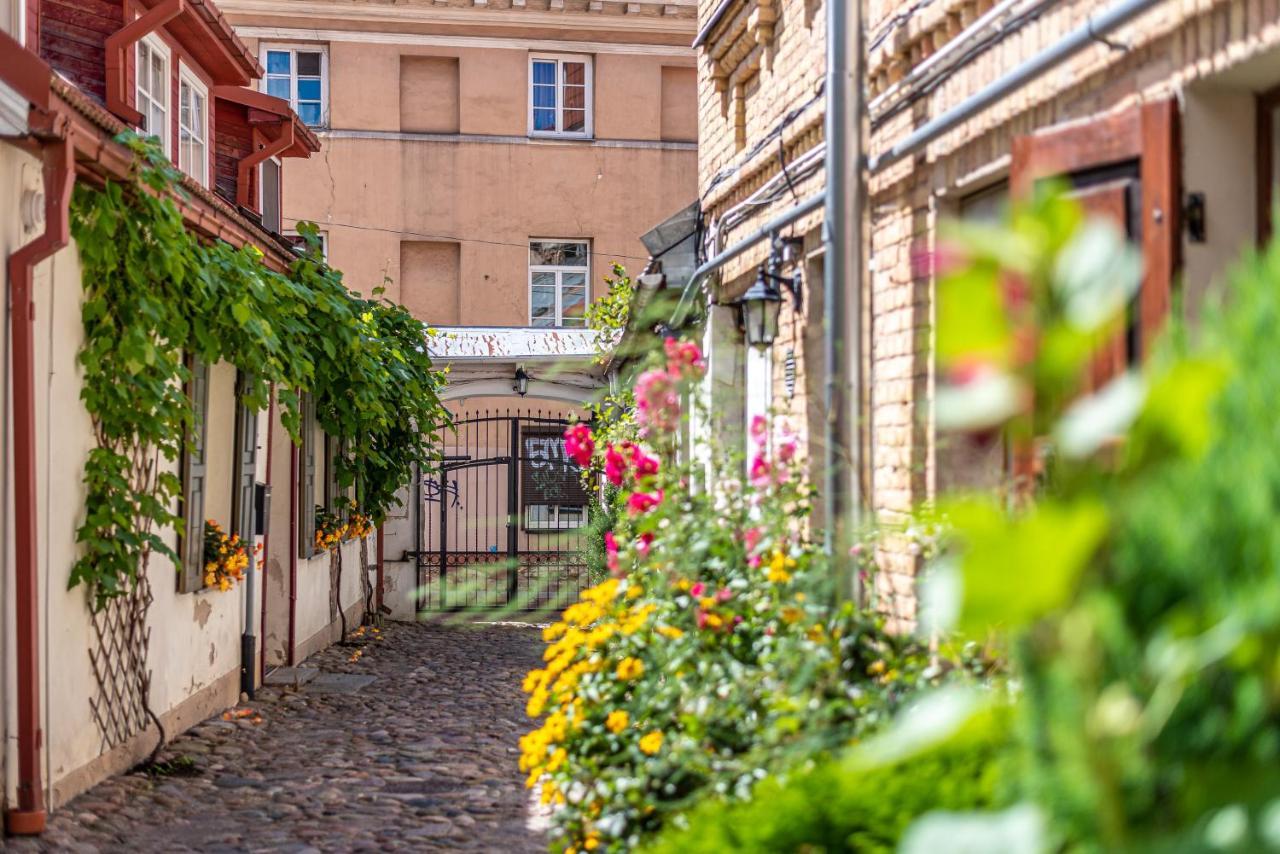 Sun Lighted Cathedral Square Studio Apartment Vilnius Exterior foto
